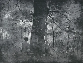 Dans la forêt